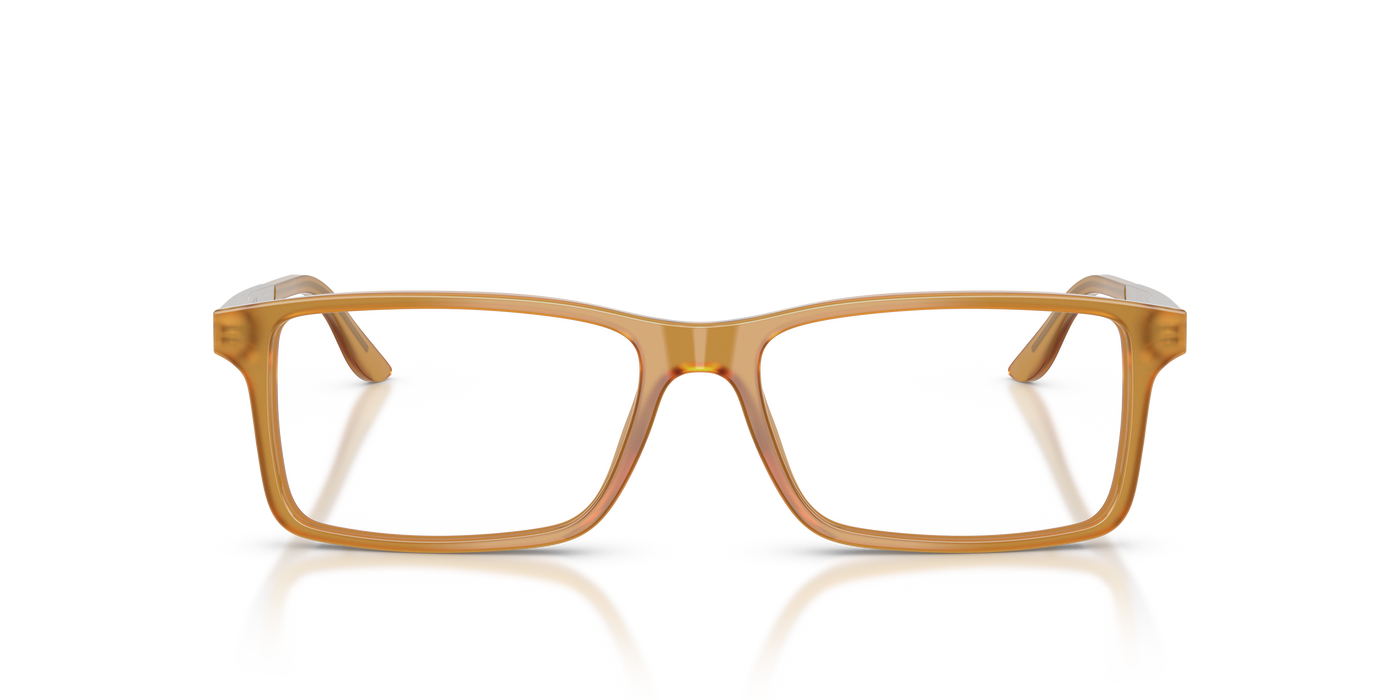 Gafas de Sol Ralph Lauren RL6128 5275 53 16
