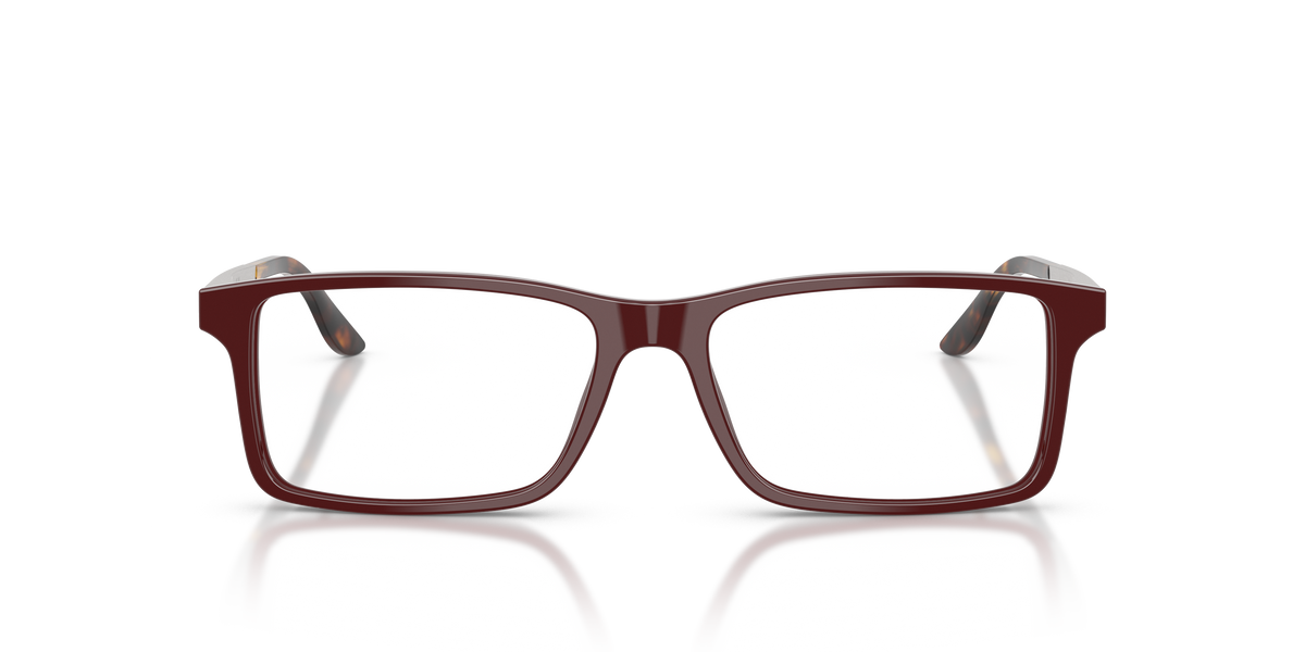 Gafas de Sol Ralph Lauren RL6128 6311 53 16