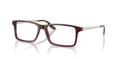 Gafas de Sol Ralph Lauren RL6128 6311 53 16