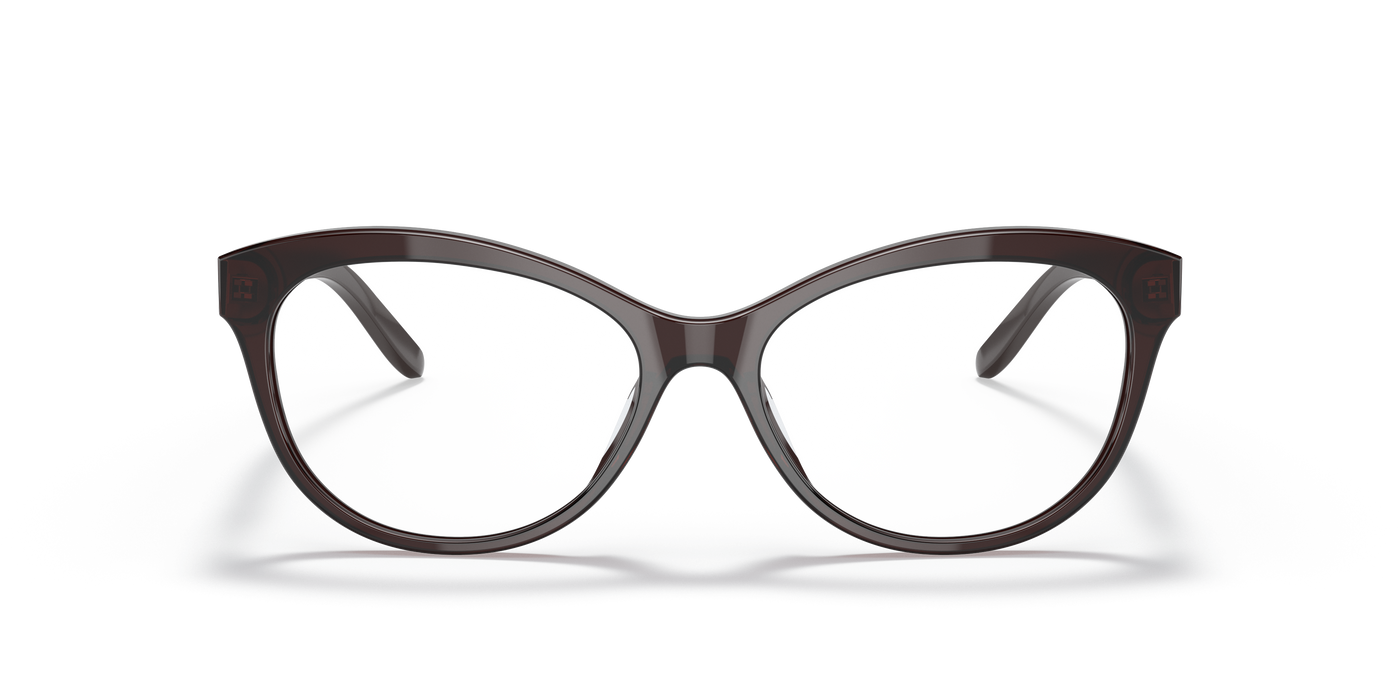 Gafas de Sol Ralph Lauren RL6216U 5855 53 16
