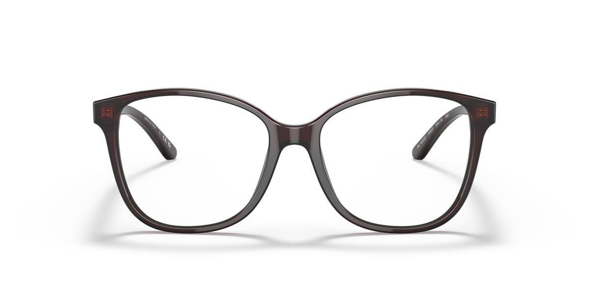 Gafas de Sol Ralph Lauren RL6222 5855 54 16