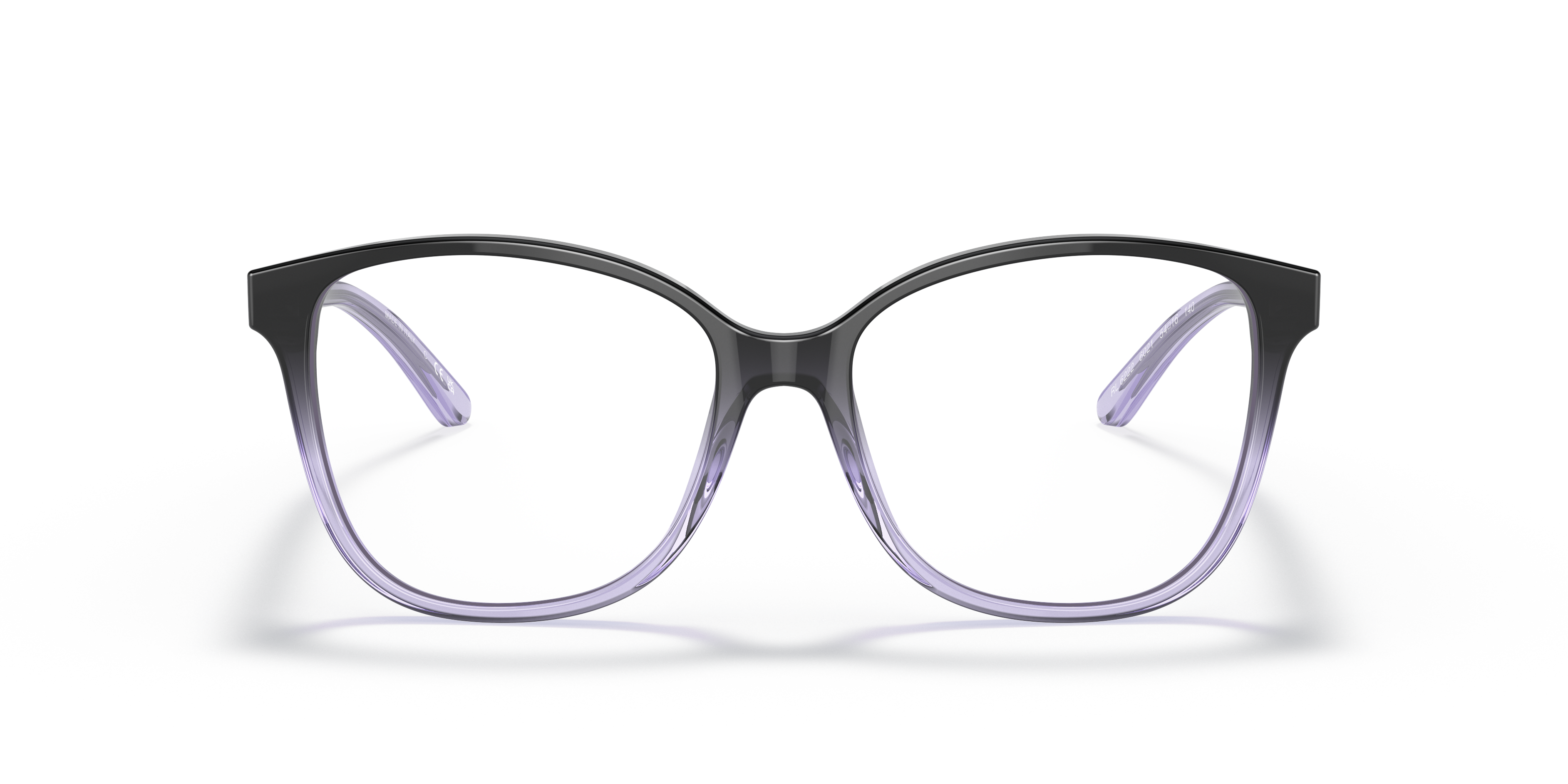 Gafas de Sol Ralph Lauren RL6222 6021 52 16