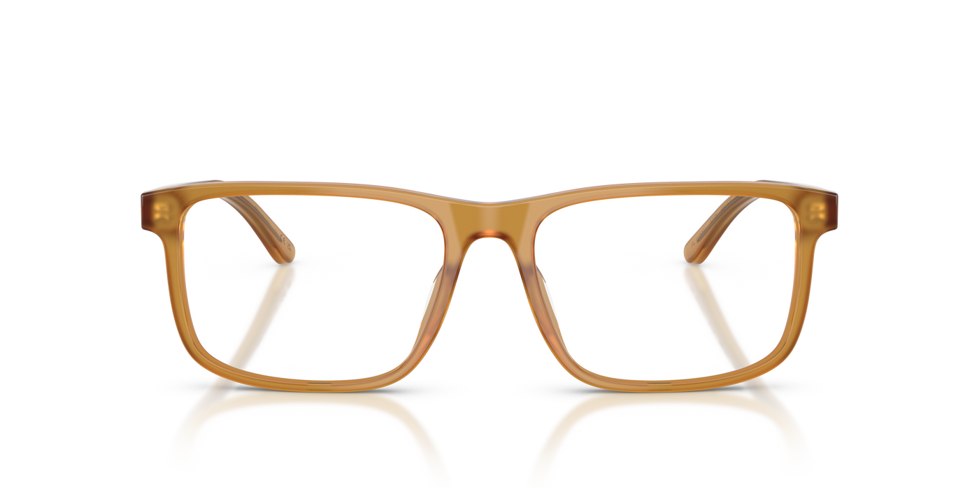 Gafas de Sol Ralph Lauren RL6225U 5275 56 17