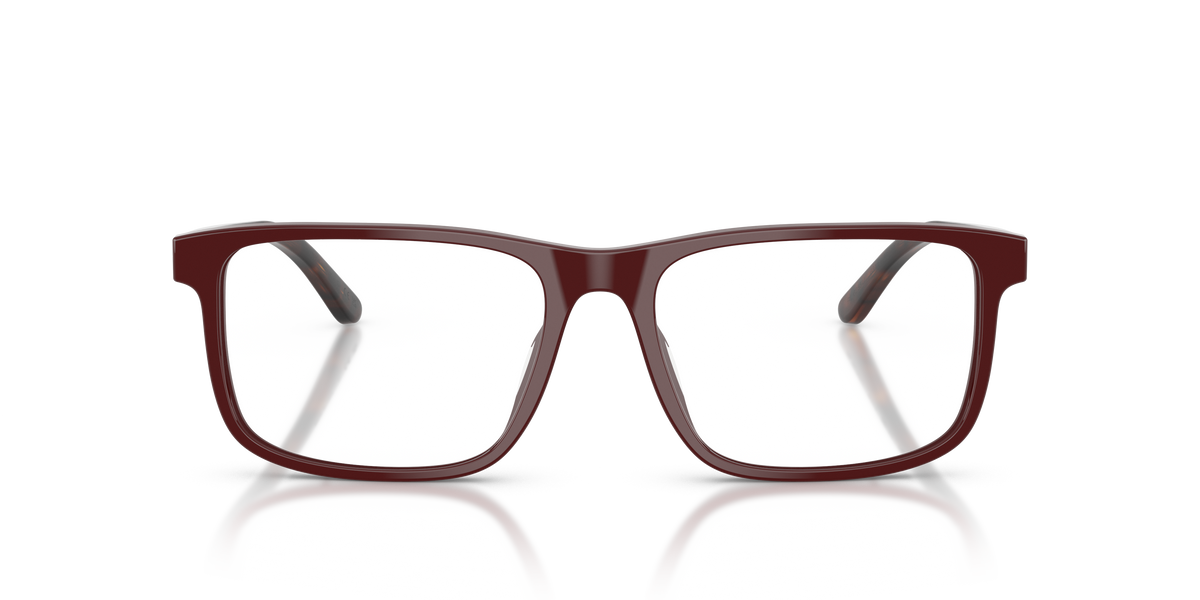 Gafas de Sol Ralph Lauren RL6225U 6311 56 17