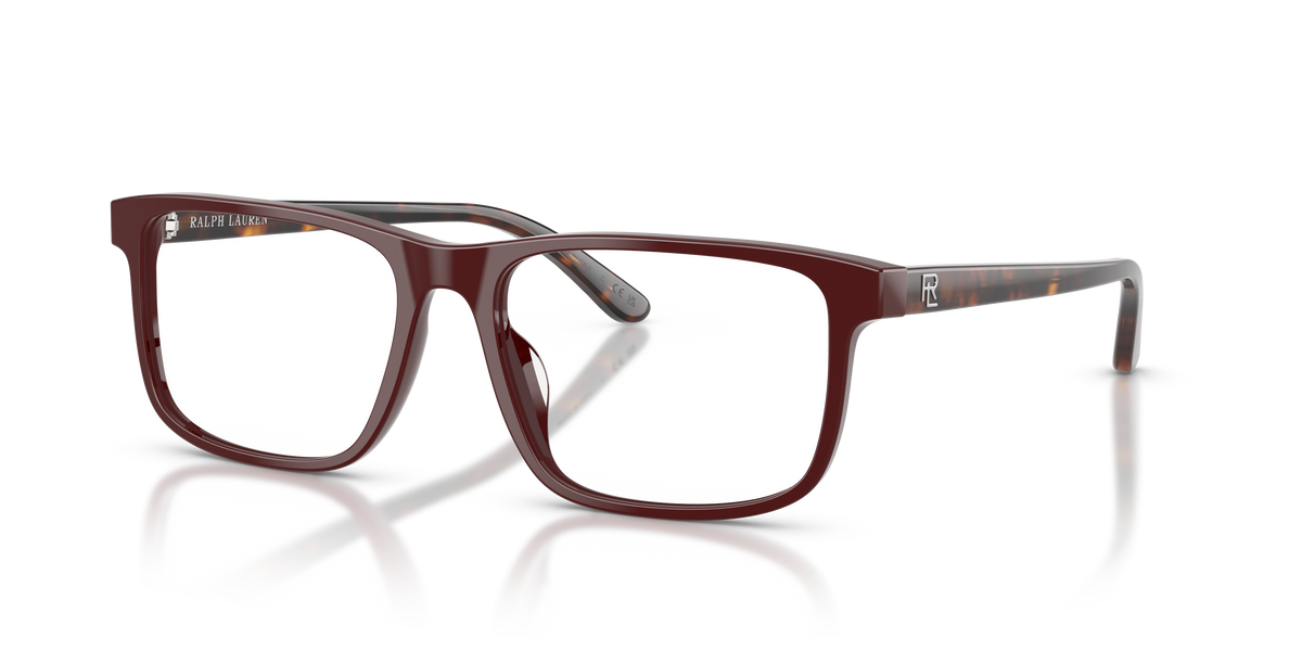 Gafas de Sol Ralph Lauren RL6225U 6311 56 17