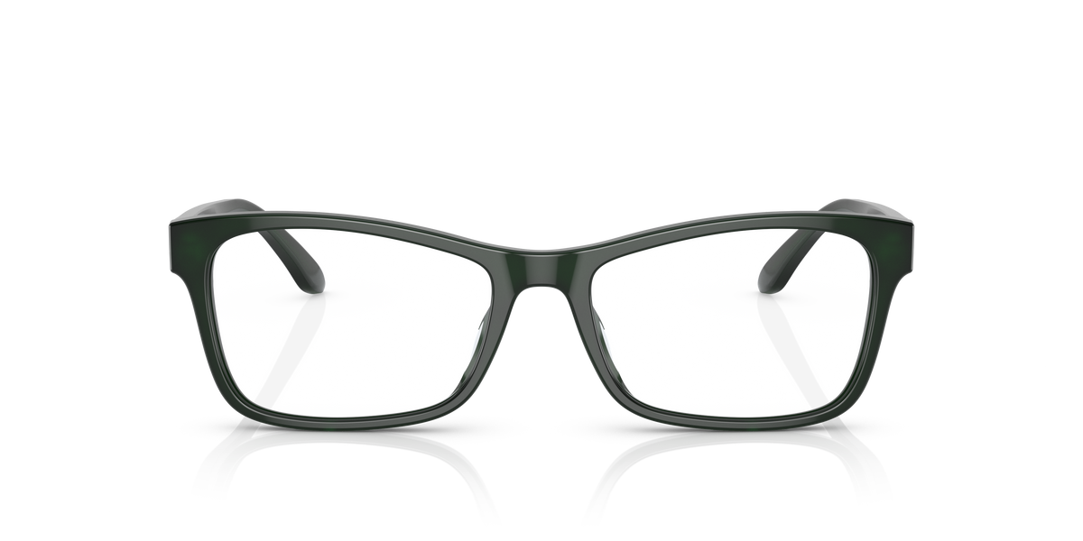 Gafas de Sol Ralph Lauren RL6229U 5421 54 17