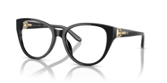 Prescription Glasses Ralph Lauren RL6234BU 5001 53 17