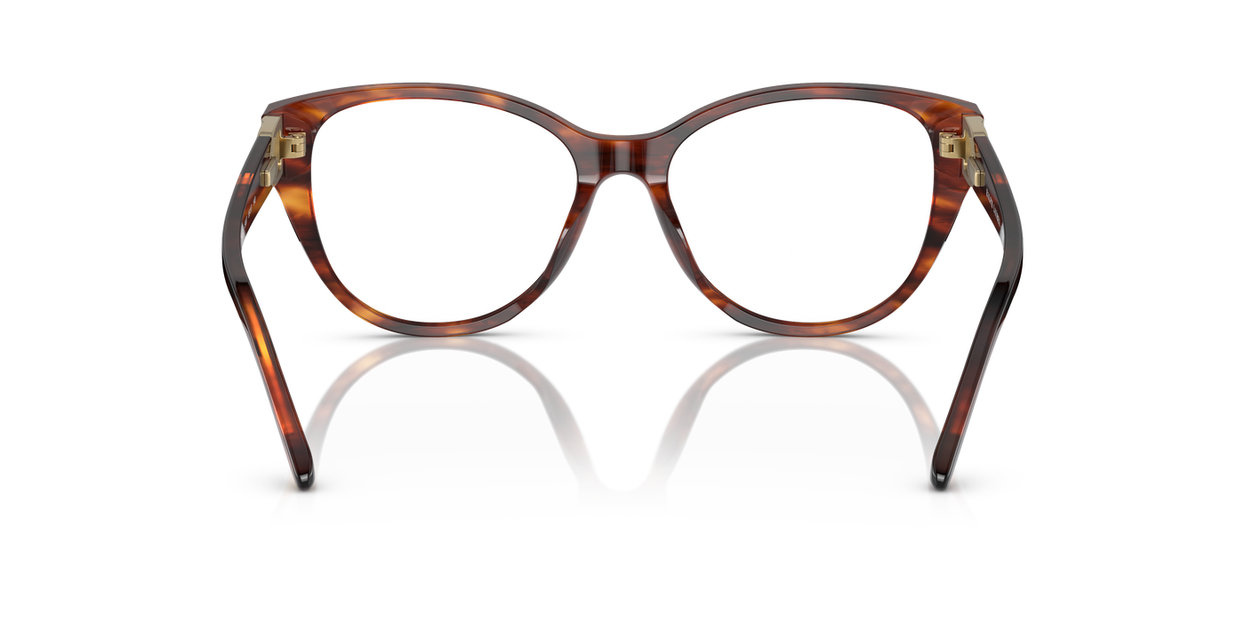 Prescription Glasses Ralph Lauren RL6234BU 5007 53 17