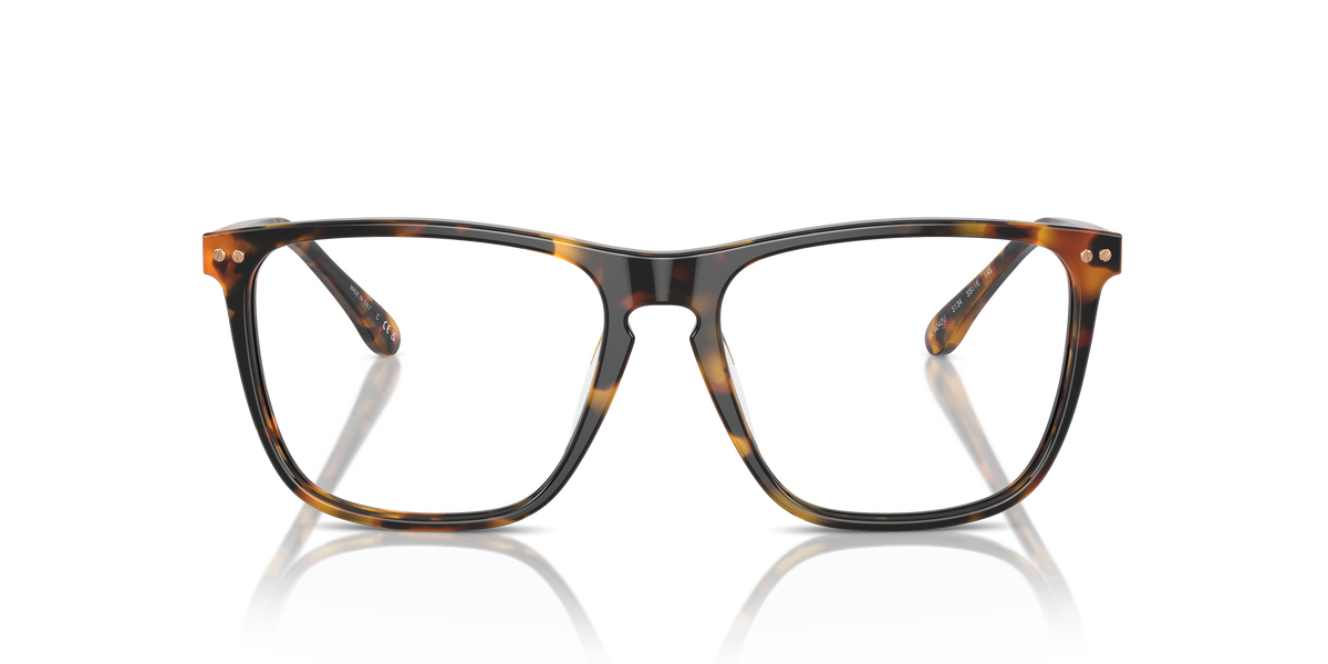 Gafas de Sol Ralph Lauren RL6242U 5134 53 16