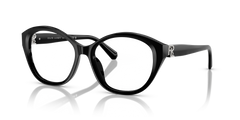 Sunglasses Ralph Lauren RL6246U 5001 53 17