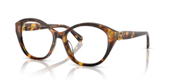 Gafas de Sol Ralph Lauren RL6246U 5134 53 17