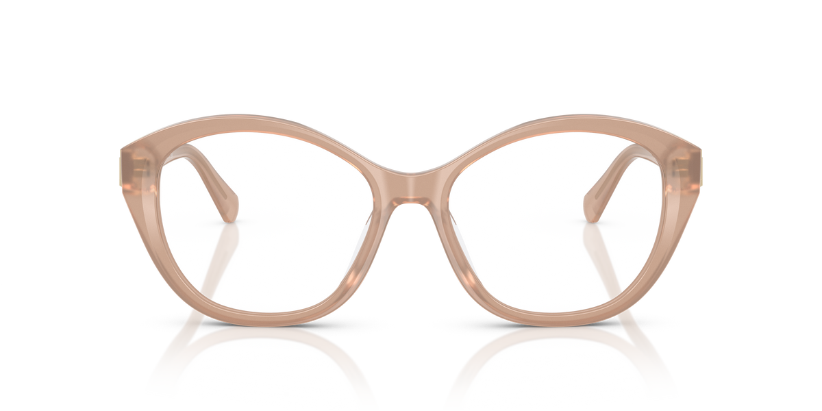 Gafas de Sol Ralph Lauren RL6246U 6217 53 17