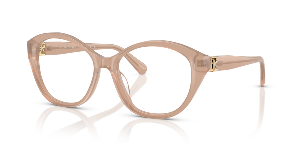 Gafas de Sol Ralph Lauren RL6246U 6217 53 17
