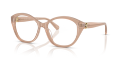 Gafas de Sol Ralph Lauren RL6246U 6217 53 17