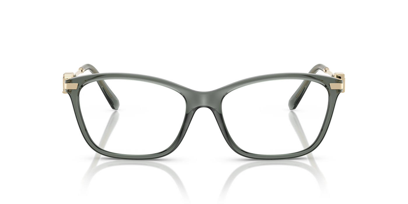 Prescription Glasses Ralph Lauren RL6247U 6216 53 16