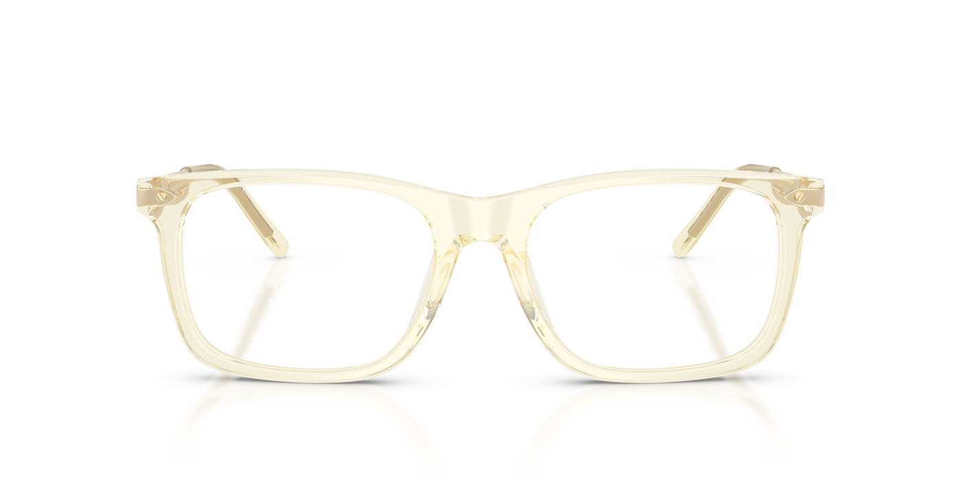 Gafas de Sol Ralph Lauren RL6253U 5034 53 18
