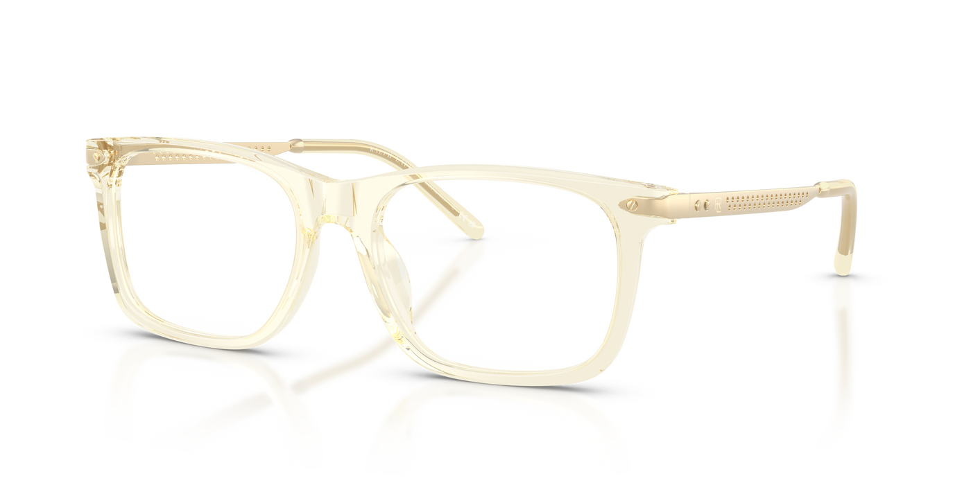 Gafas de Sol Ralph Lauren RL6253U 5034 53 18