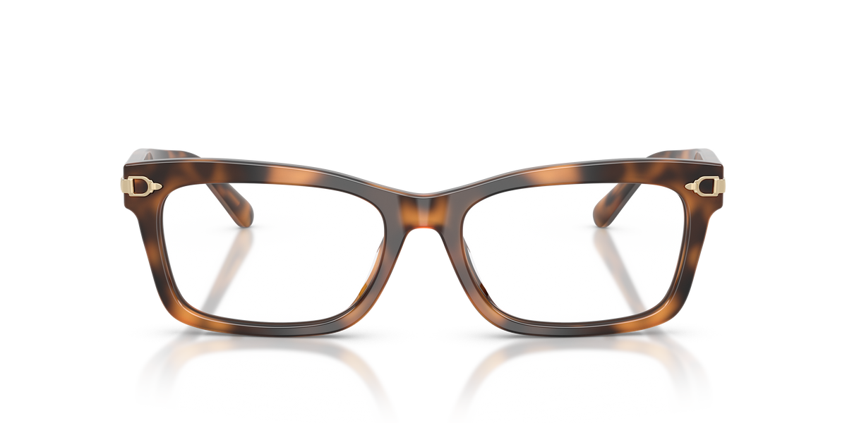 Gafas de Sol Ralph Lauren RL6255U 6089 53 17