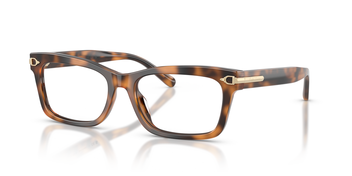 Gafas de Sol Ralph Lauren RL6255U 6089 53 17