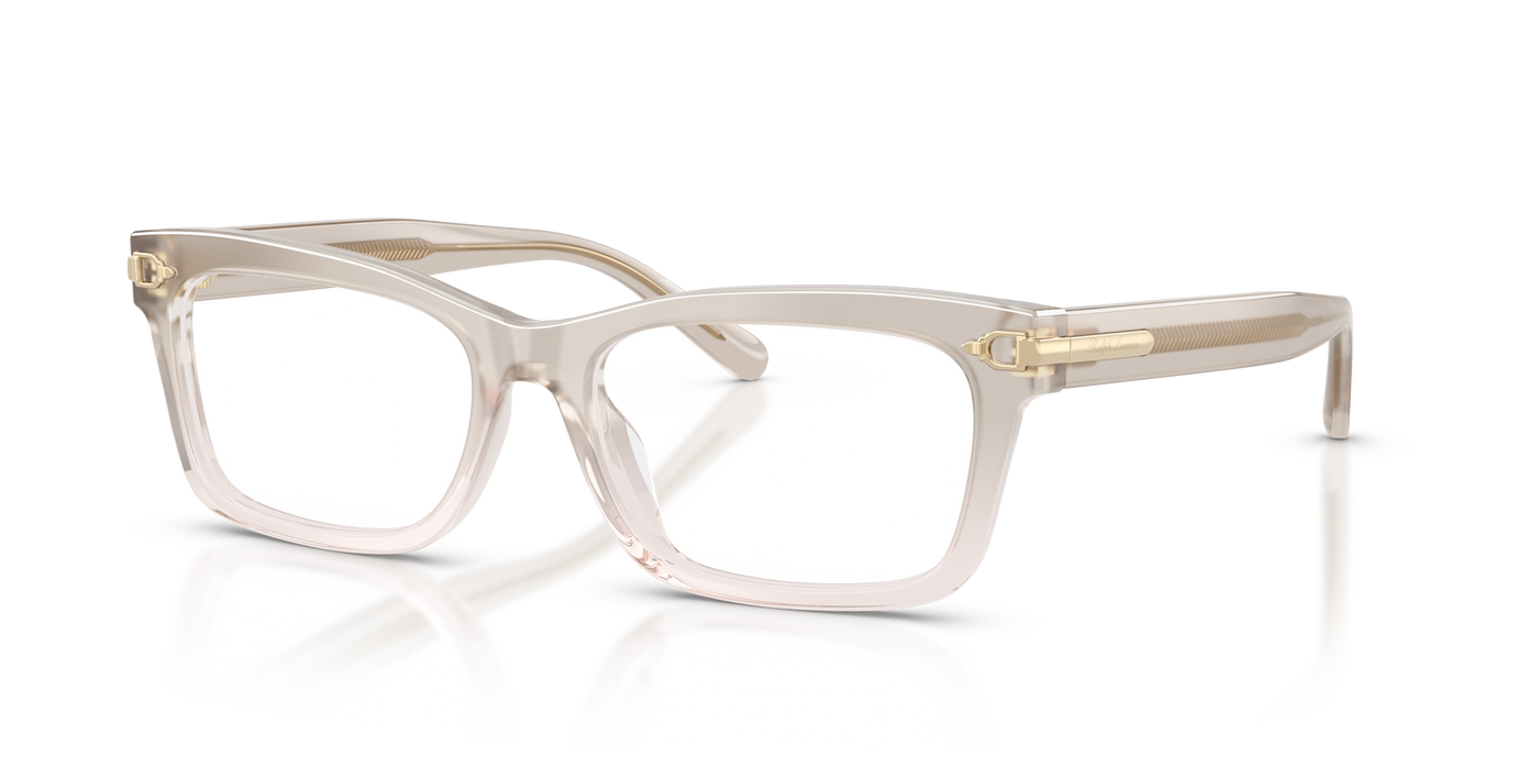 Gafas de Sol Ralph Lauren RL6255U 6112 55 17
