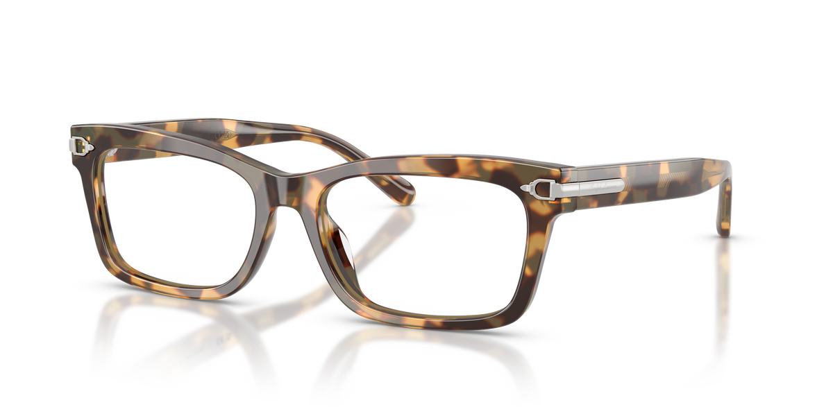 Gafas de Sol Ralph Lauren RL6255U 6178 55 17