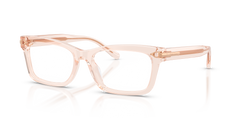 Sunglasses Ralph Lauren RL6255U 6305 53 17