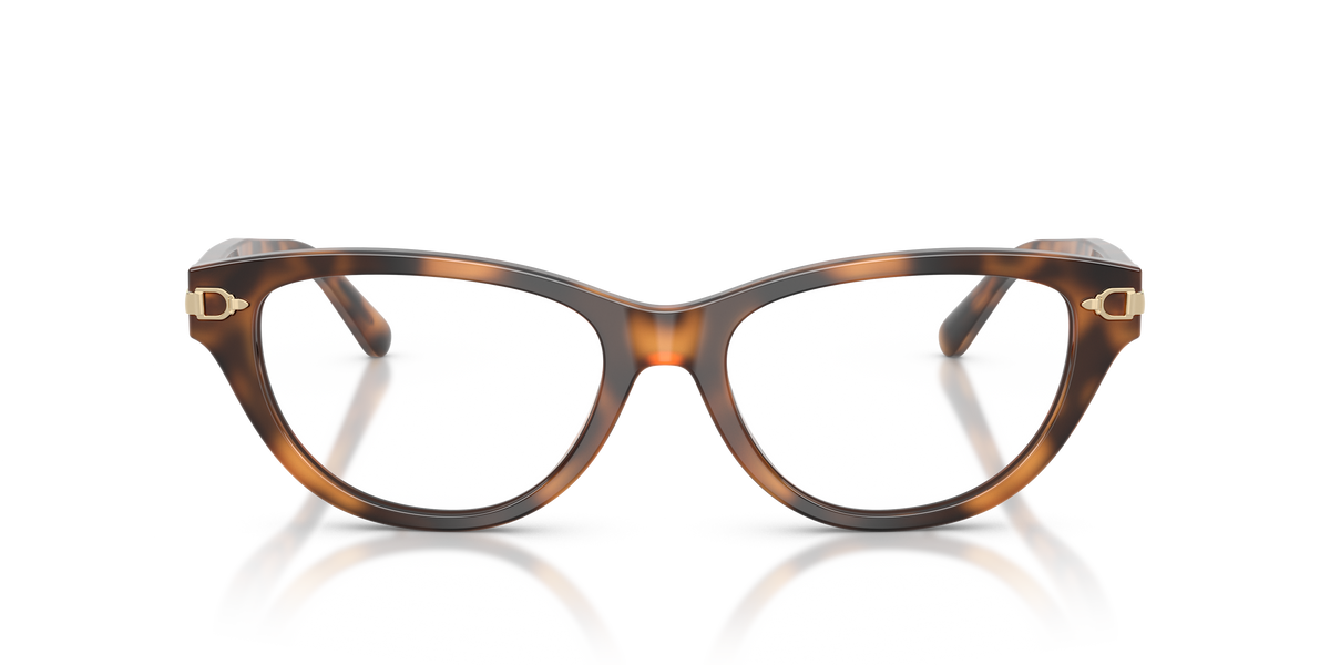 Gafas de Sol Ralph Lauren RL6257U 6089 54 17