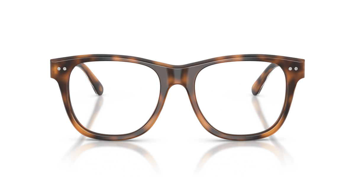 Gafas de Sol Ralph Lauren RL6260U 6089 54 18