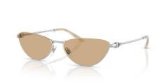 Sunglasses Ralph Lauren RL7095 9001/8 57 17