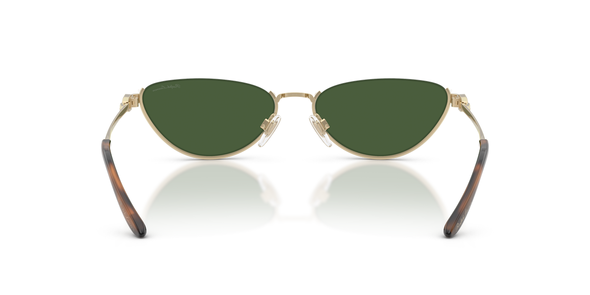 Sunglasses Ralph Lauren RL7095 911671 57 17