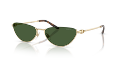 Sunglasses Ralph Lauren RL7095 911671 57 17