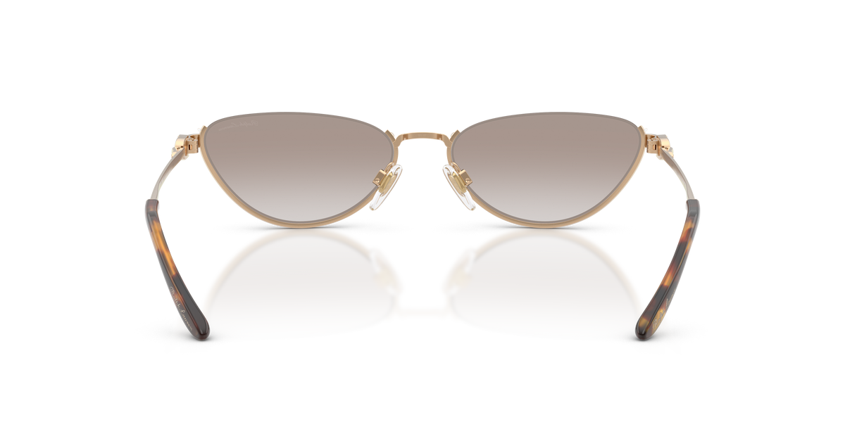 Sunglasses Ralph Lauren RL7095 94876E 57 17