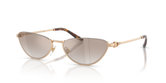 Sunglasses Ralph Lauren RL7095 94876E 57 17