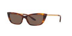 Sunglasses Ralph Lauren RL8173 500773 55 15