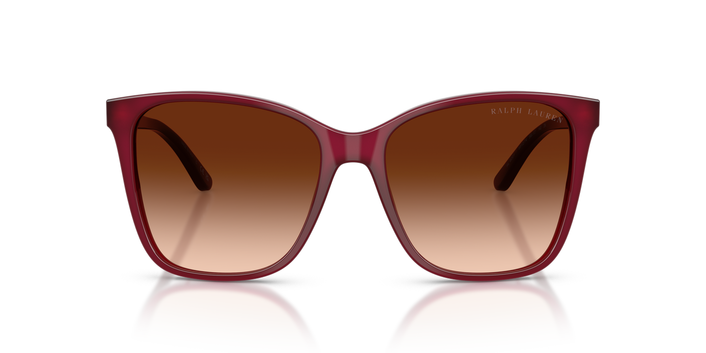Gafas de Sol Ralph Lauren RL8201 591274 56 17