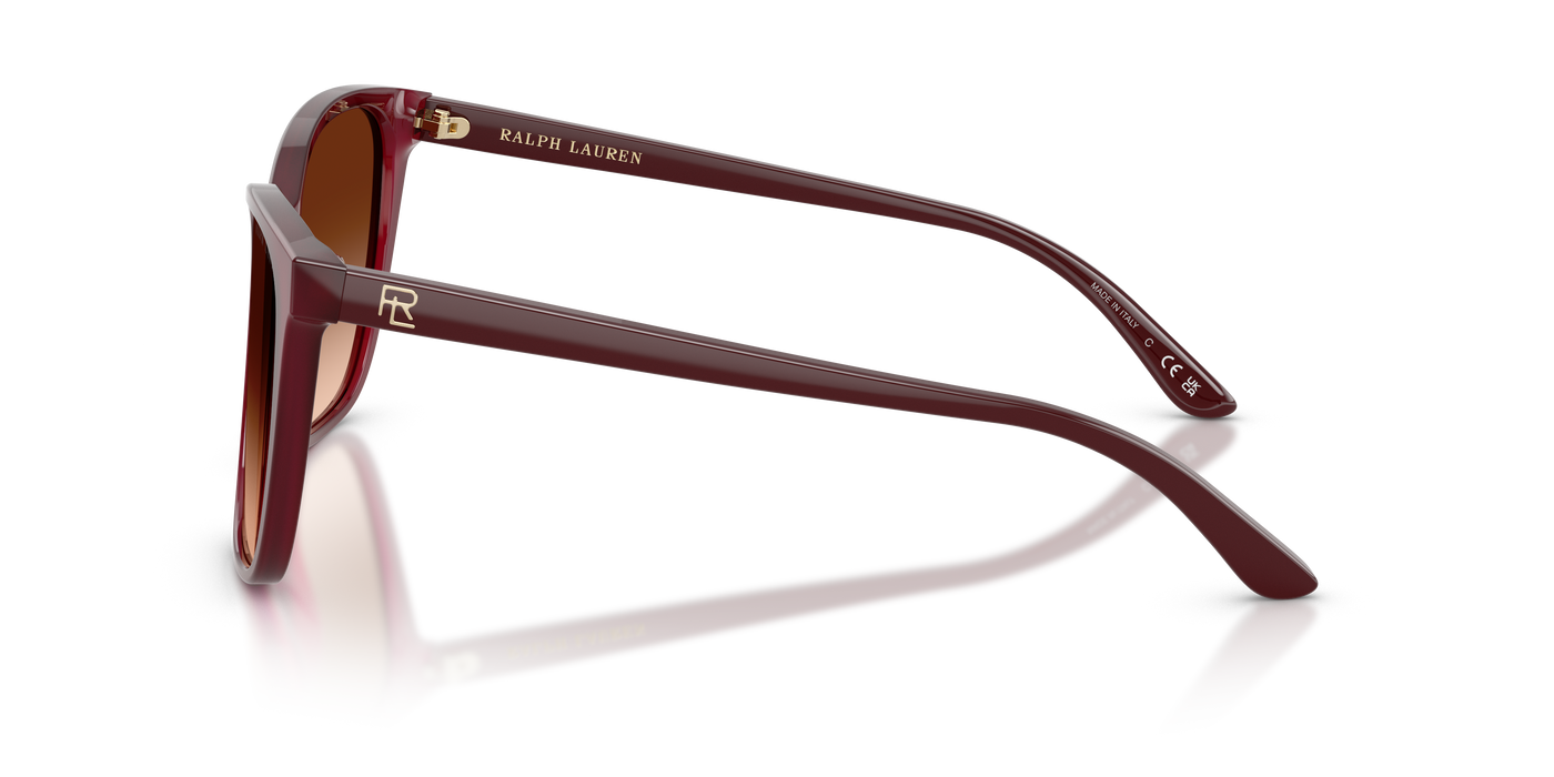 Gafas de Sol Ralph Lauren RL8201 591274 56 17
