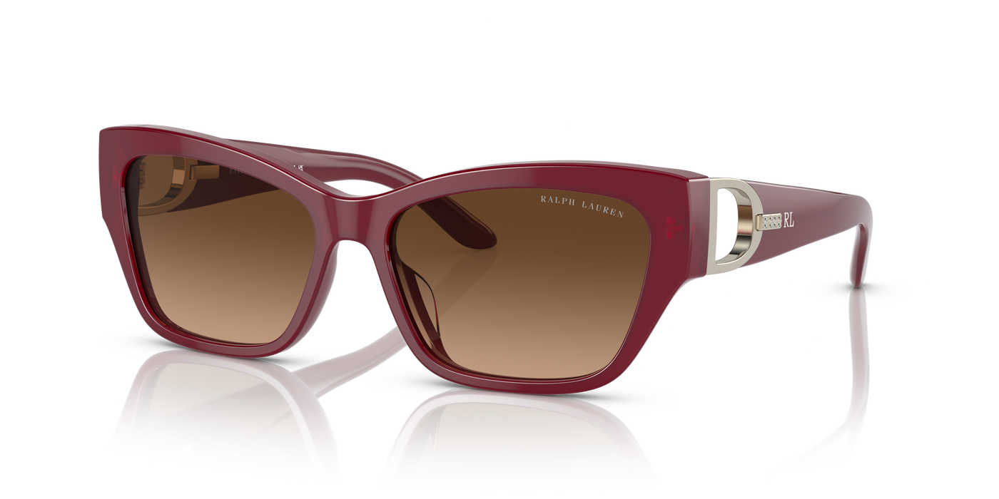 Gafas de Sol Ralph Lauren The Audrey RL8206U 591274 57 16