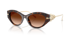 Gafas de Sol Ralph Lauren RL8227U 500374 52 19