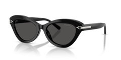 Gafas de Sol Ralph Lauren RL8236U 500187 54 17