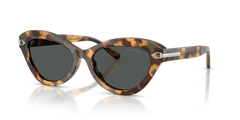 Gafas de Sol Ralph Lauren RL8236U 617887 54 17