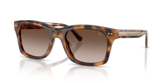 Gafas de Sol Ralph Lauren RL8237U 608913 55 20