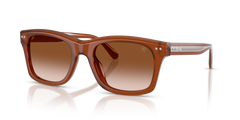 Gafas de Sol Ralph Lauren RL8237U 630613 55 20