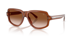 Gafas de Sol Ralph Lauren RL8238U 630613 57 16