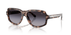 Gafas de Sol Ralph Lauren RL8238U 63078G 57 16