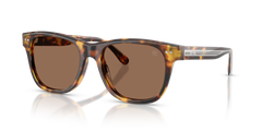 Gafas de Sol Ralph Lauren RL8239U 513473 54 18