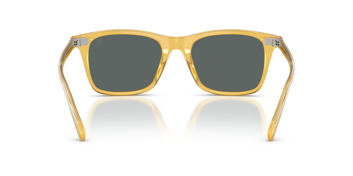 Gafas de Sol Ralph Lauren RL8242U 50053R 54 19