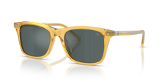 Gafas de Sol Ralph Lauren RL8242U 50053R 54 19