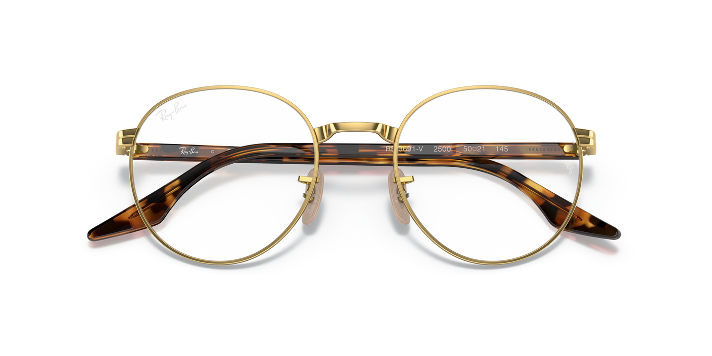 Prescription Glasses Ray-Ban RX3691V 2500 48 21