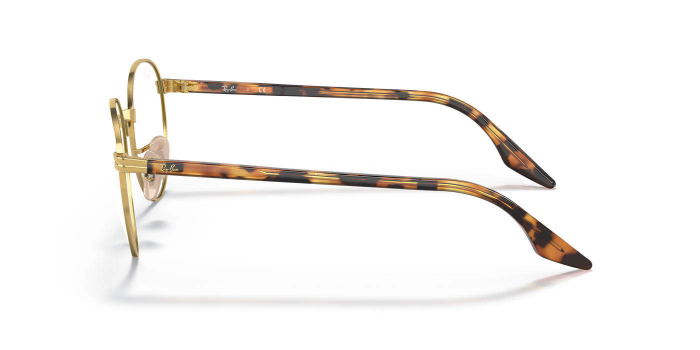 Prescription Glasses Ray-Ban RX3691V 2500 48 21
