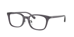Gafas Graduadas Ray-Ban RX5407D 5920 52 19